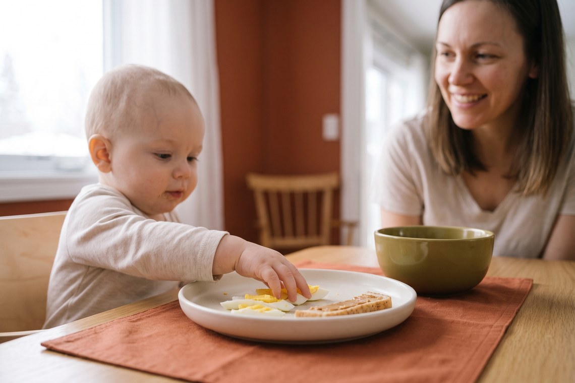 Introdução de alergênicos do bebê: introduzir ou evitar? Bebê sentado com apoio durante a introdução alimentar de alergênicos